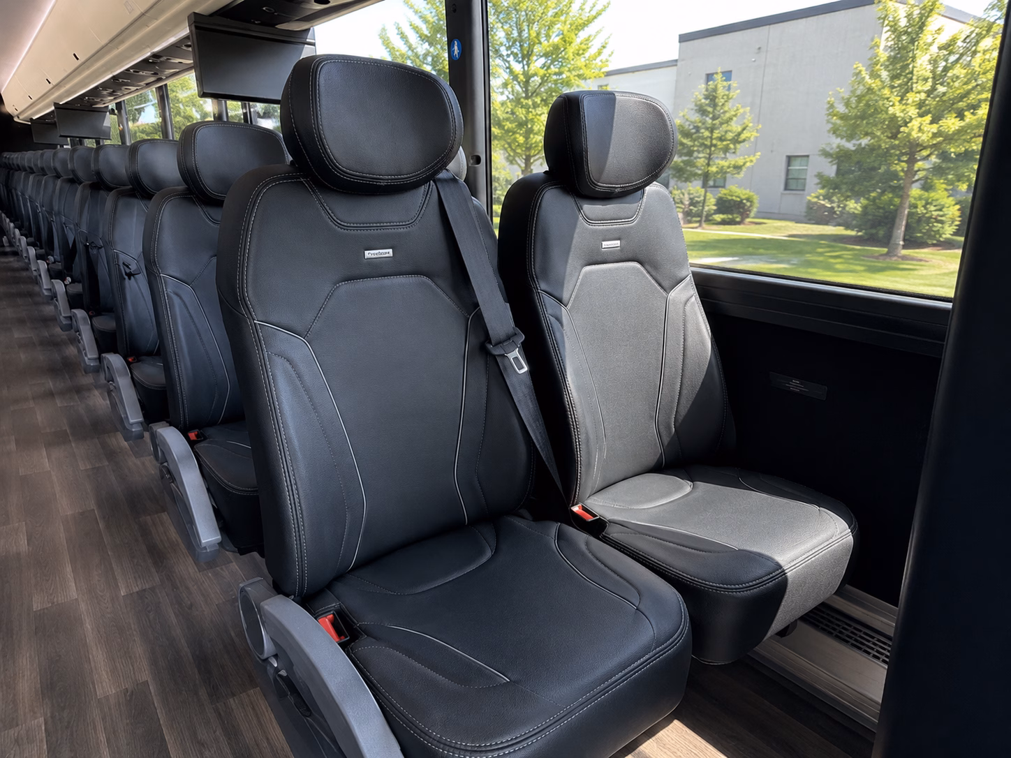 compare buses in minutes not days