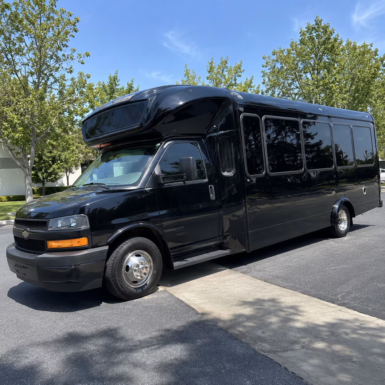 ontario 15 passenger party bus